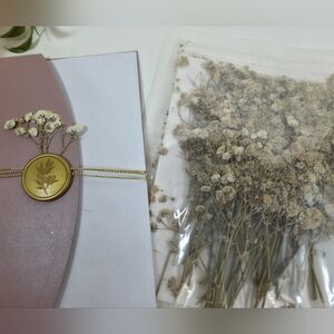 Ivory Baby's Breath Real Natural Dried Pressed Flowers for Resin Art Craft DIY